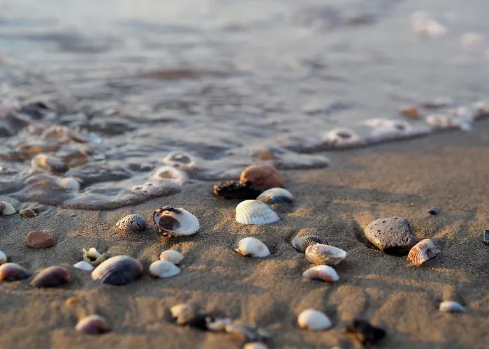 Cozy Near The Apartment *